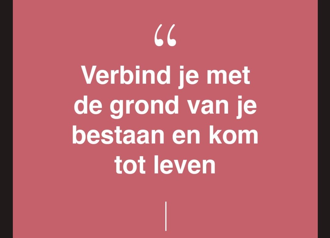 Zachtmoedigleven